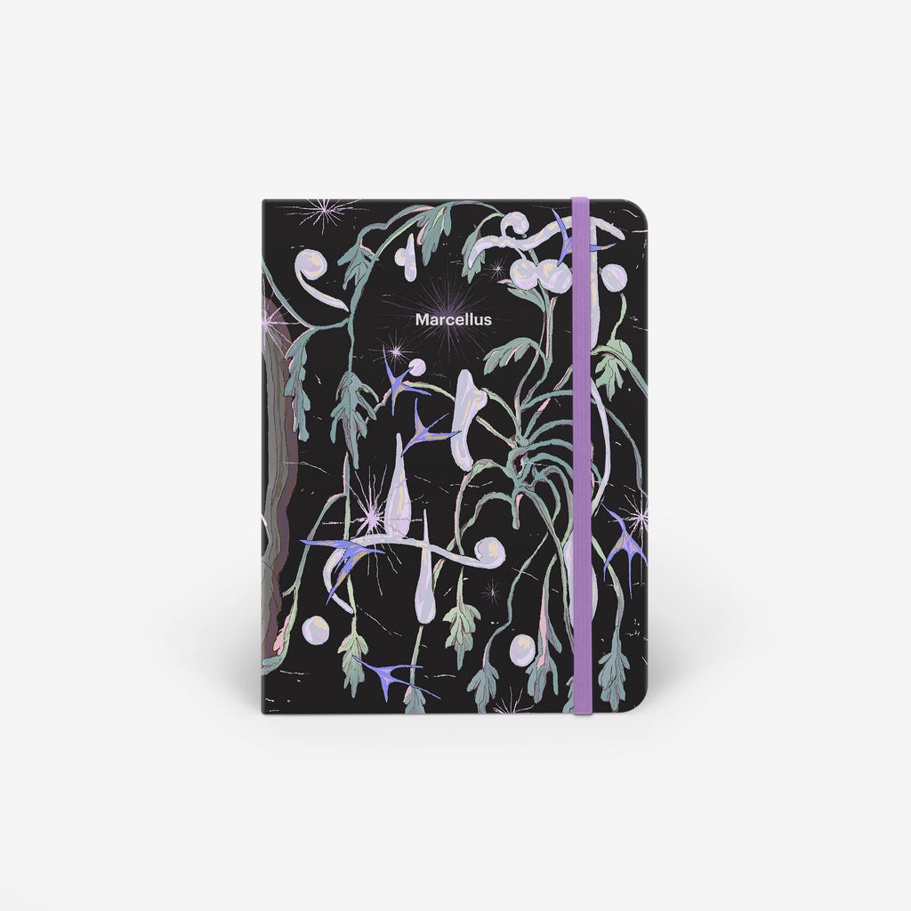 Elixir Light Cover