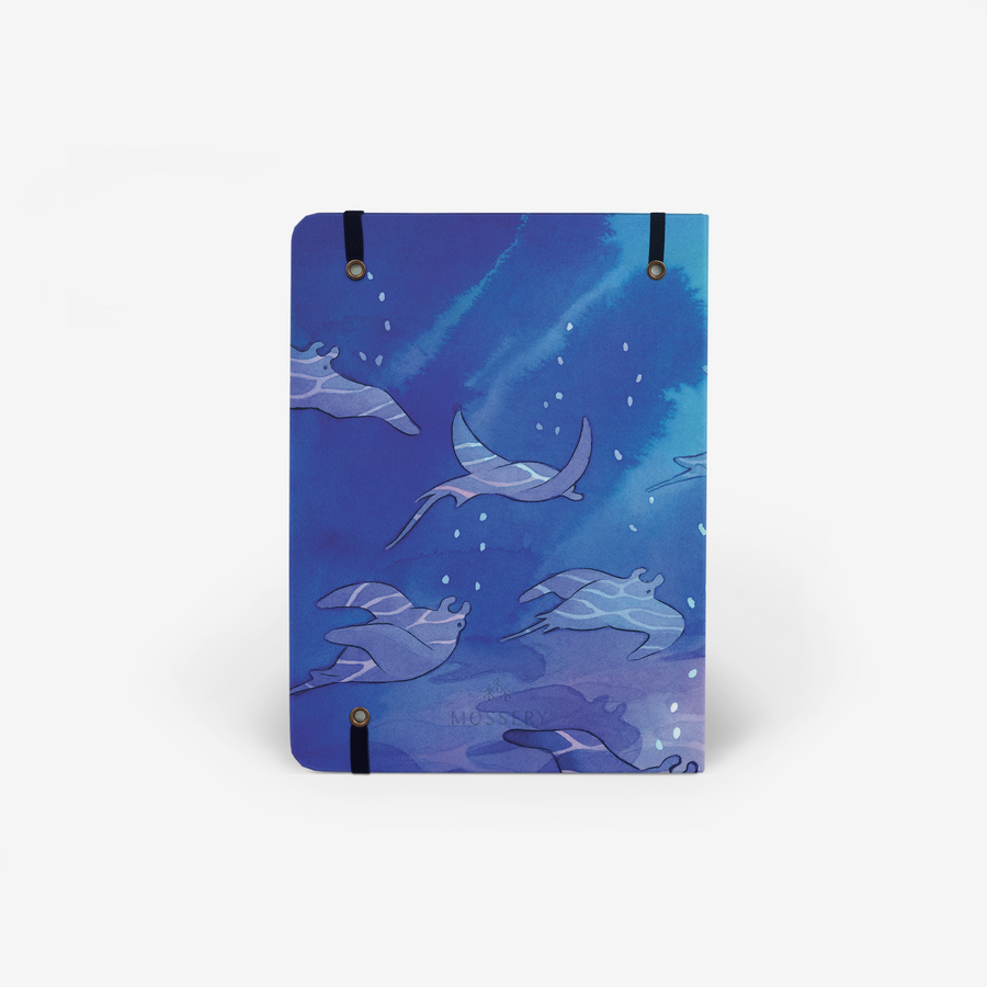 Shallows Light Cover