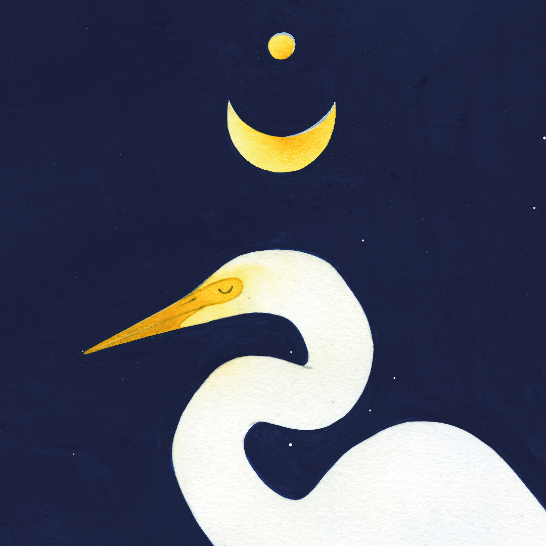 Crane Art Print