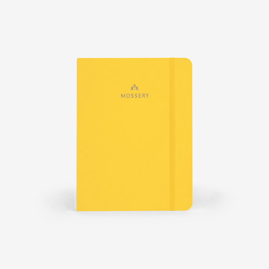 Second Chance: Sunshine Yellow Cover Logo