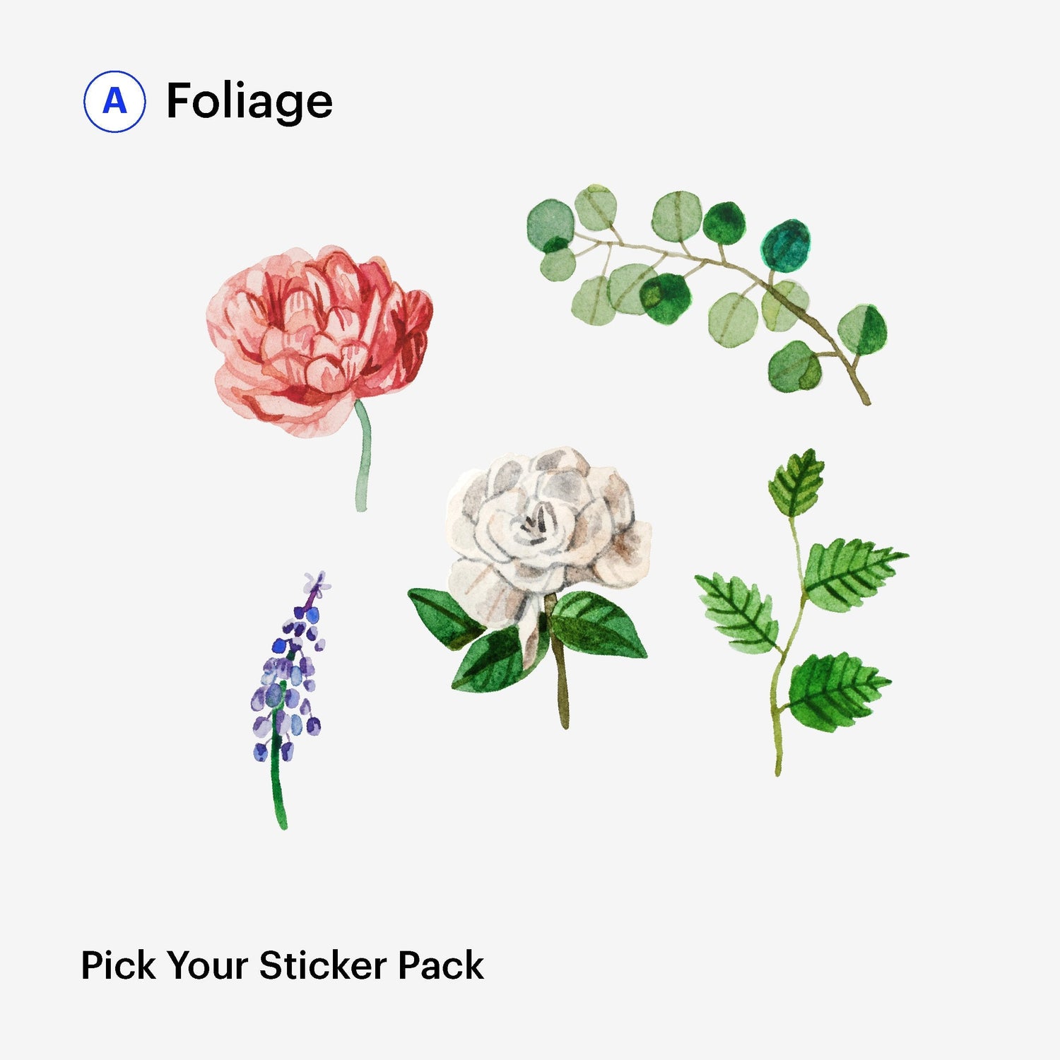 Plants Sticker Pack