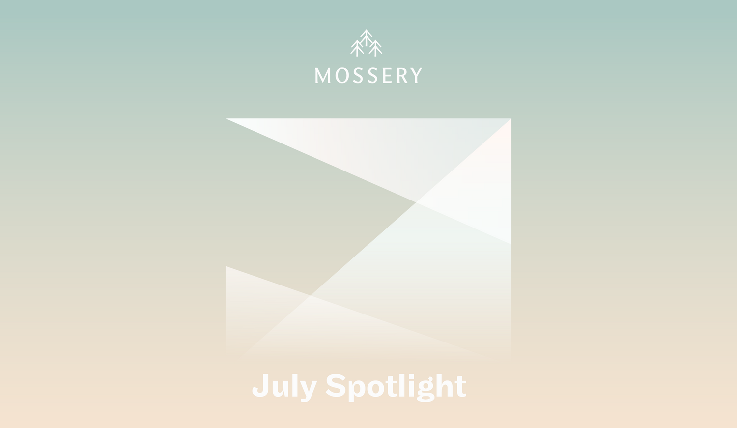 Setting Off Fireworks in July