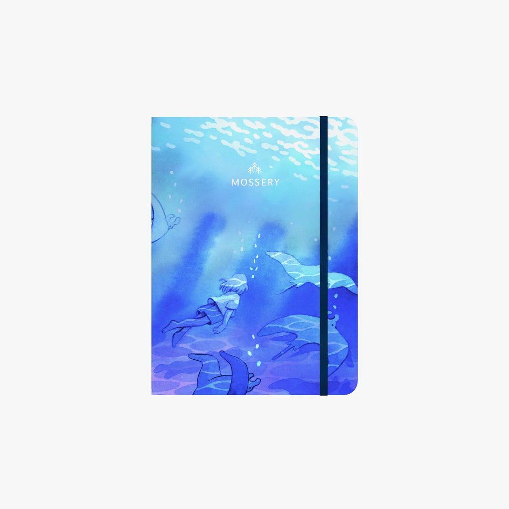 Shallows Logo Cover