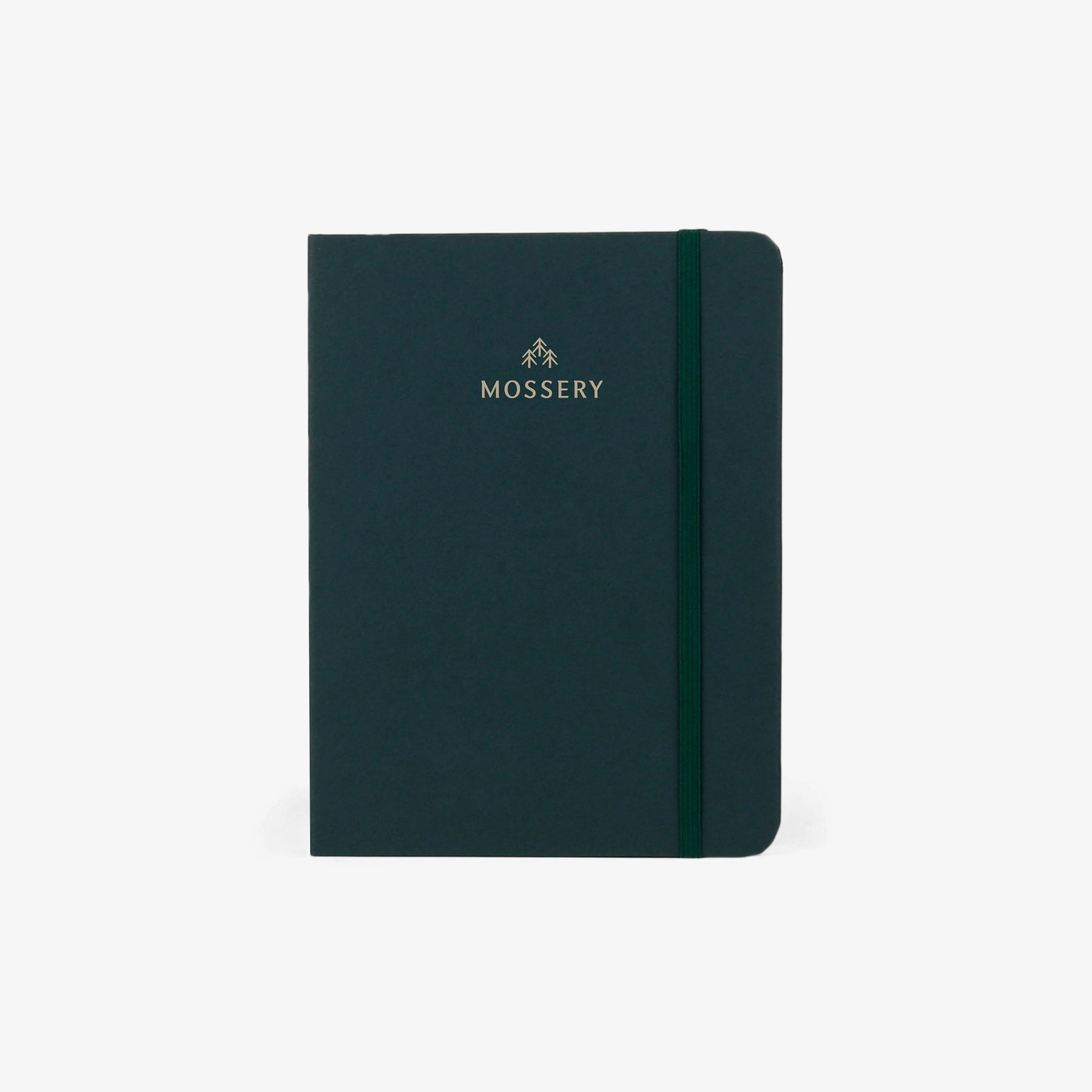 Second Chance: Plain Forest Cover Logo