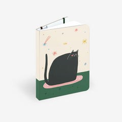 Cat Nap Twinbook