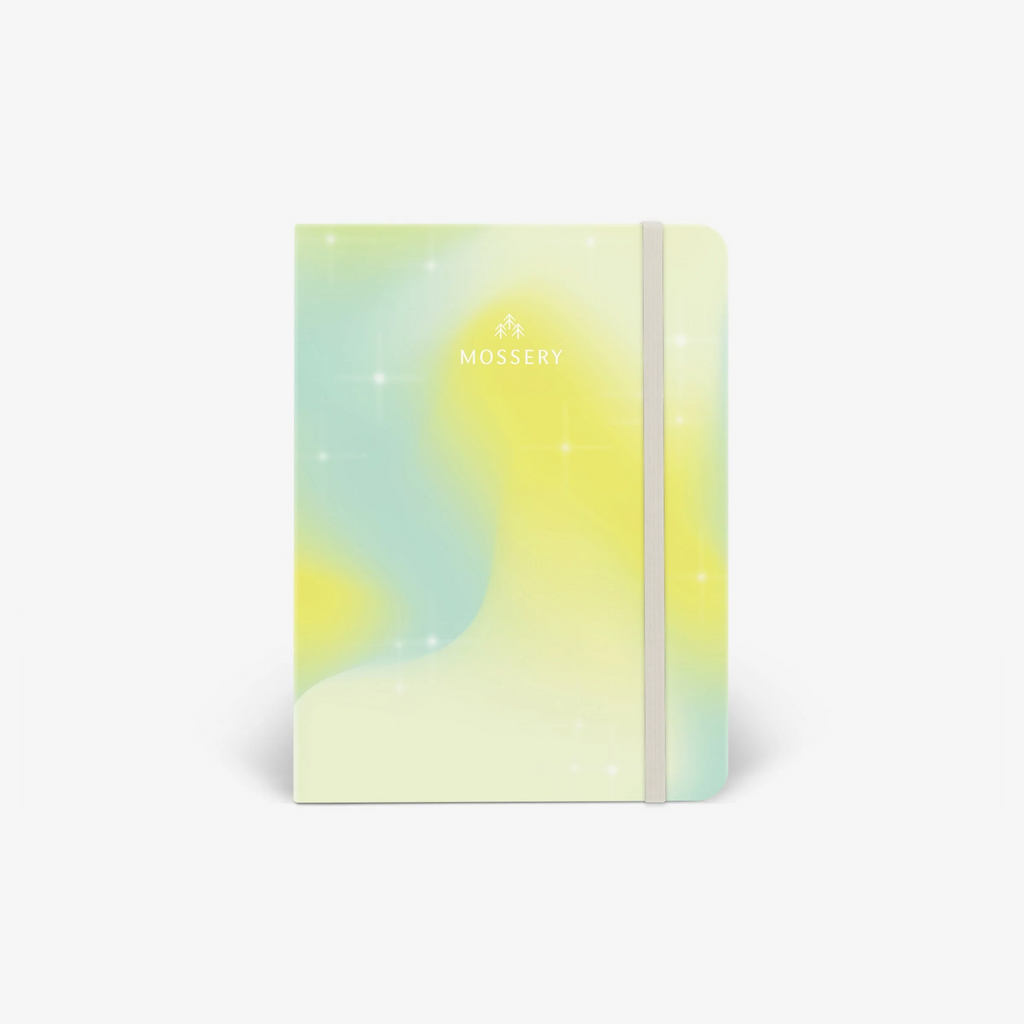 Second Chance: Citrus Dream Cover Logo