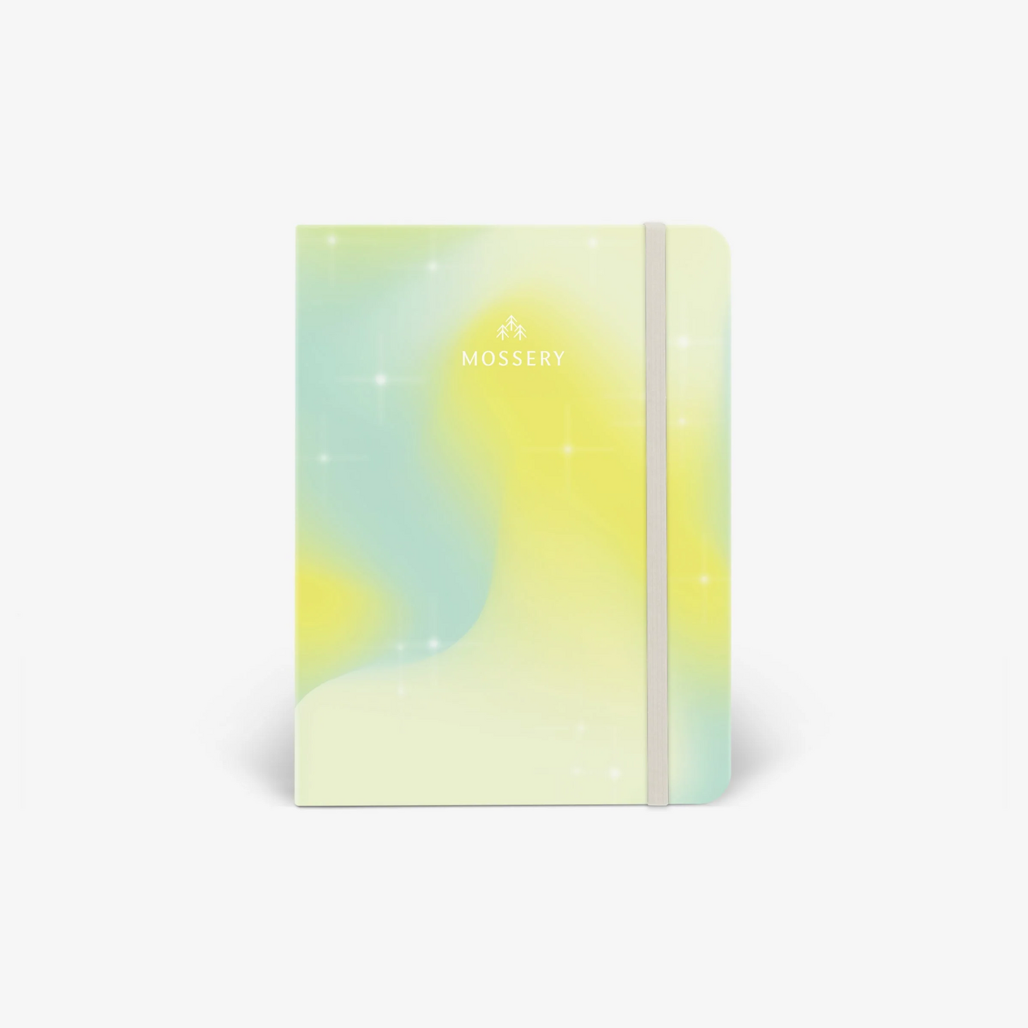 Second Chance: Citrus Dream Cover Logo