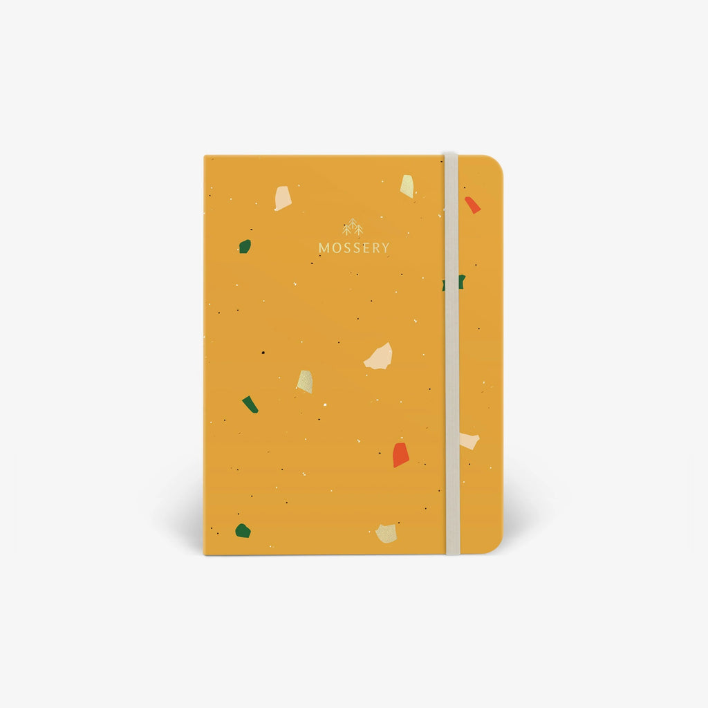 Amber Logo Cover