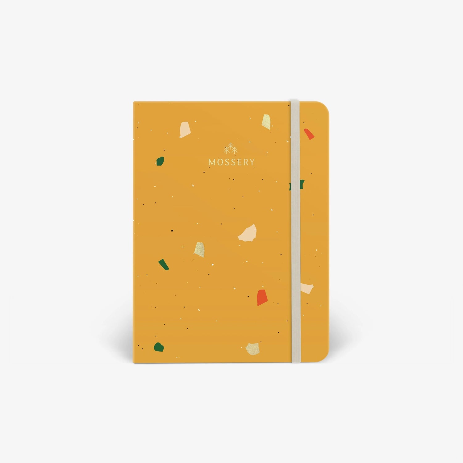 Amber Logo Cover