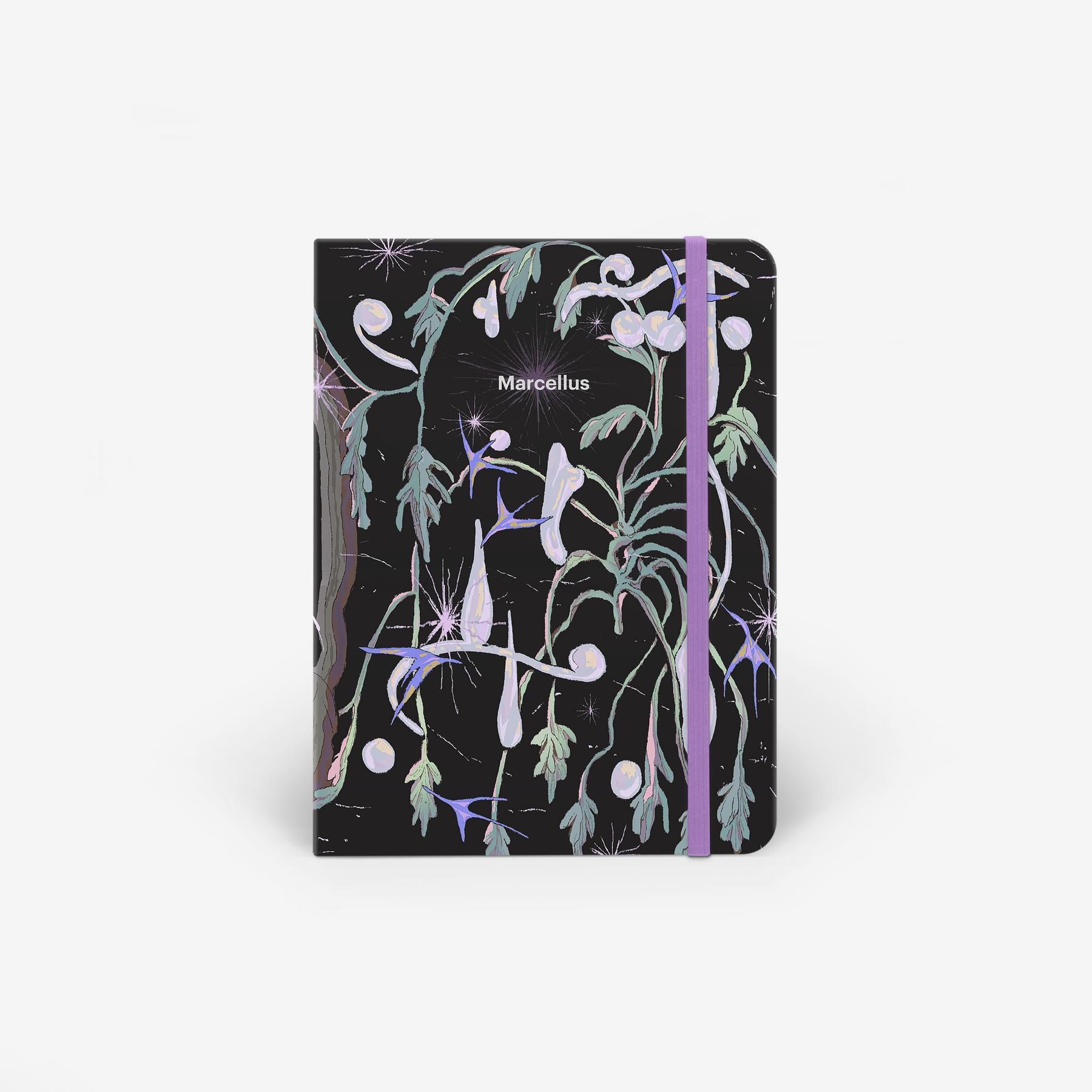Elixir 2026 Planner