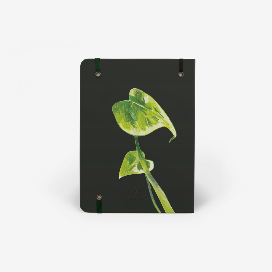 Evergreen 2026 Planner