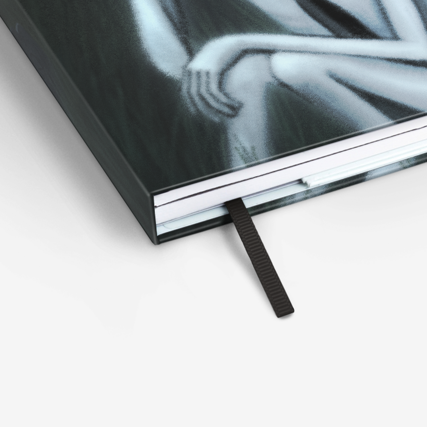 My Old Friend Twinbook