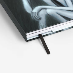 My Old Friend Twinbook