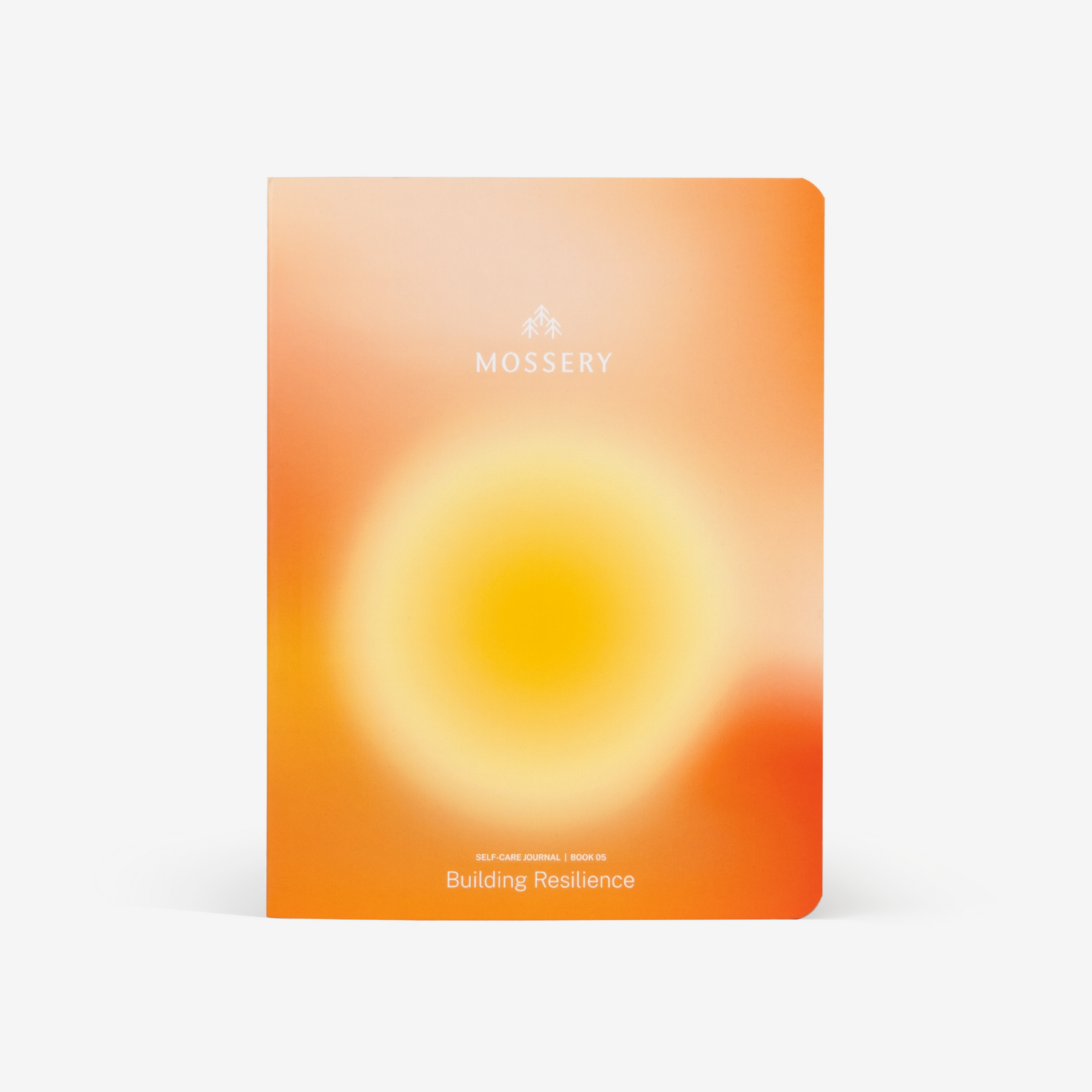 Self-Care Journal: Book 05 Building Resilience