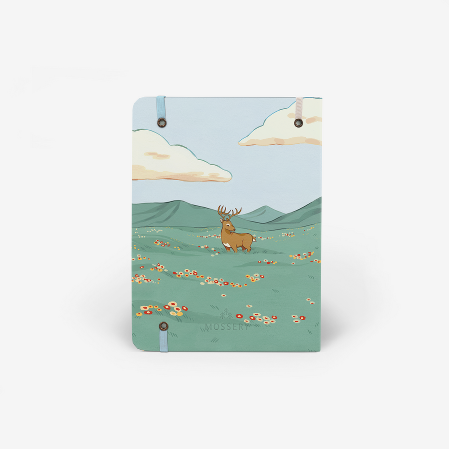 Spring Collies Twinbook