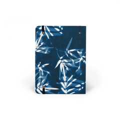 Sun Bamboo Logo Cover