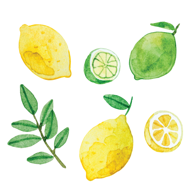 Artist Series Stickers: Lemons & Limes (STC-508)