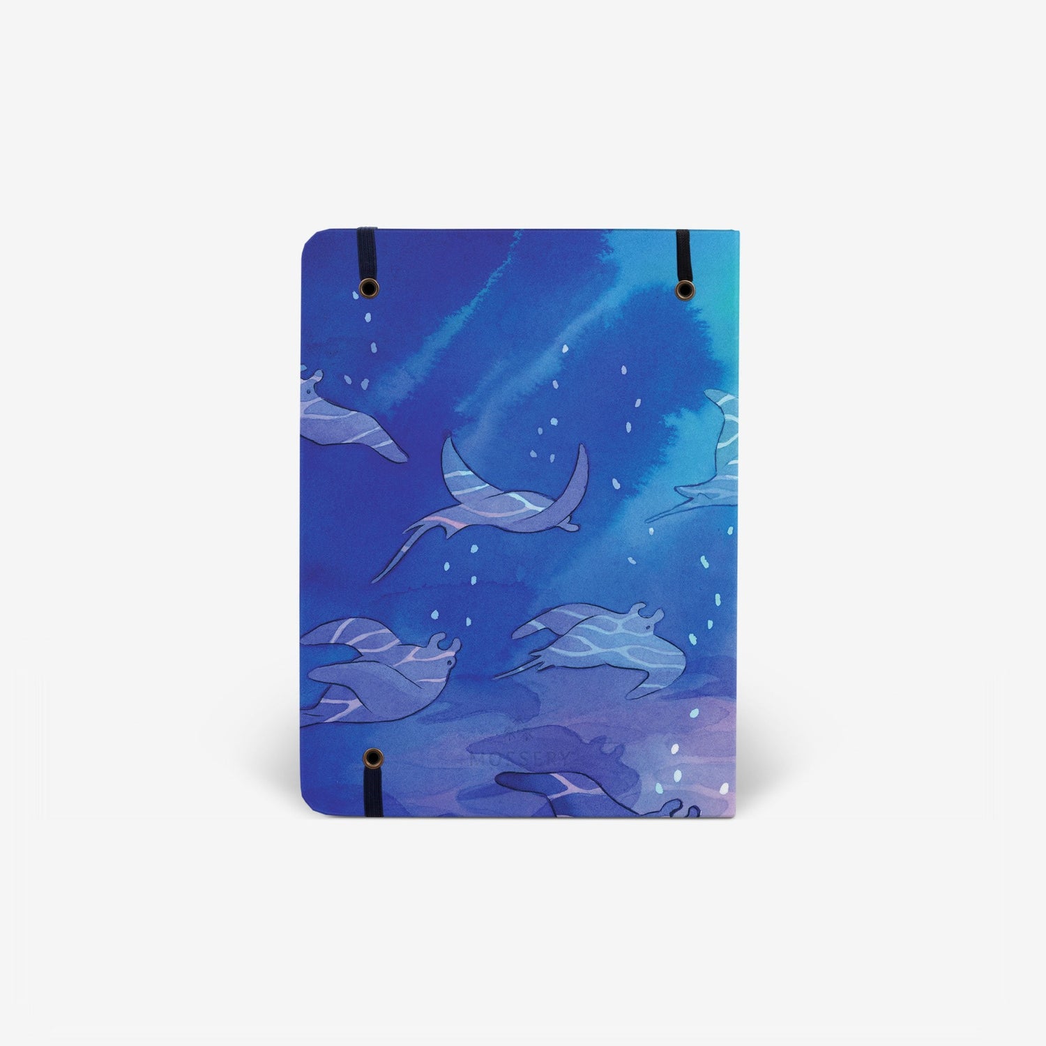 Shallows 2023 Half-Year Planner