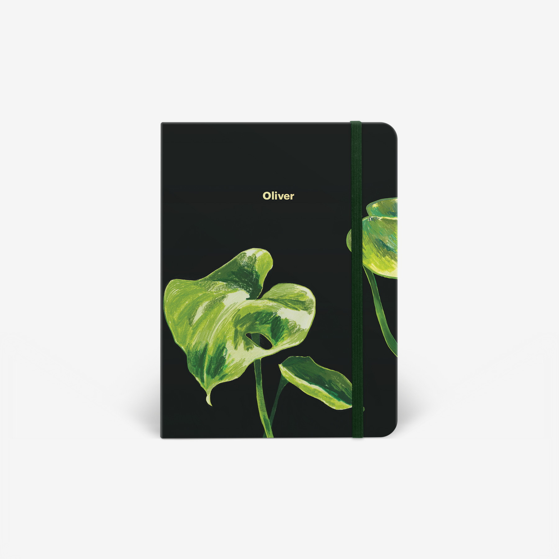 Evergreen Undated Planner