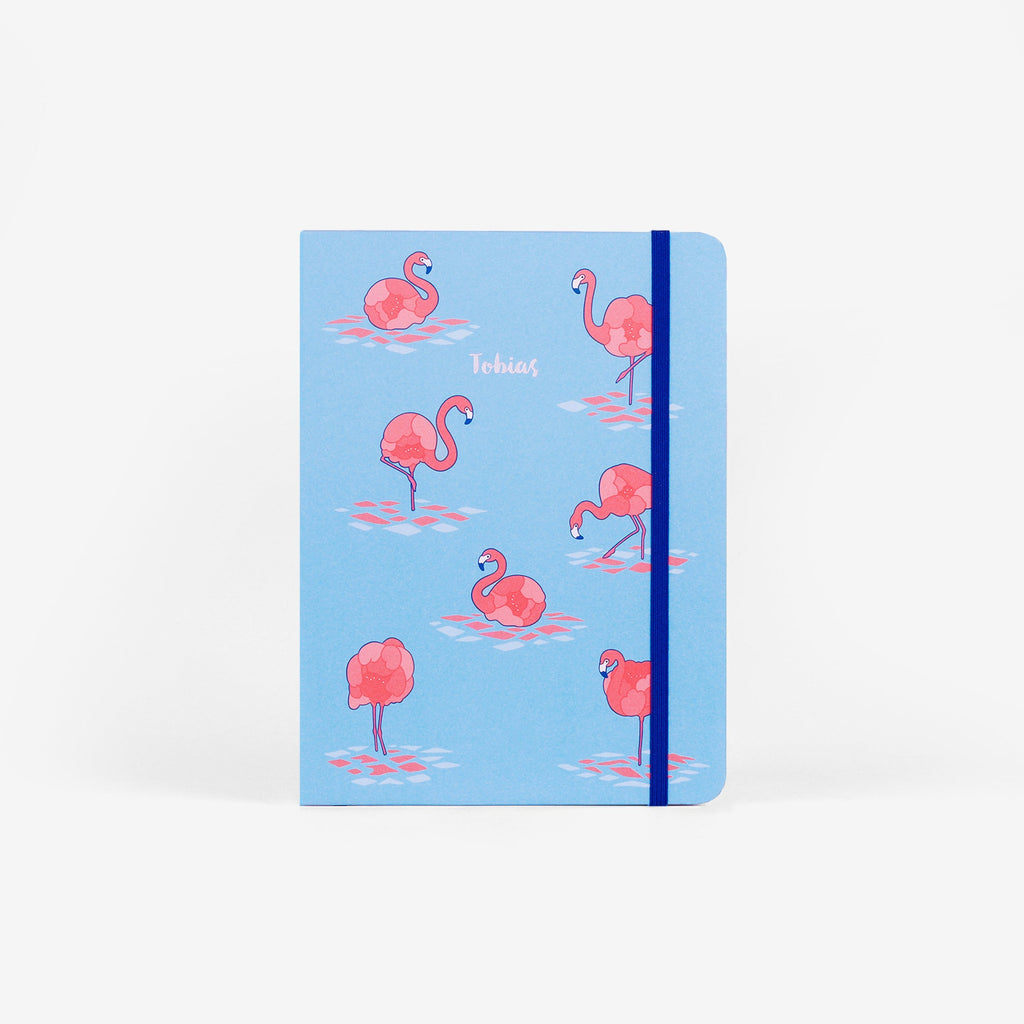 Second Chance: Flamingo Blue Cover