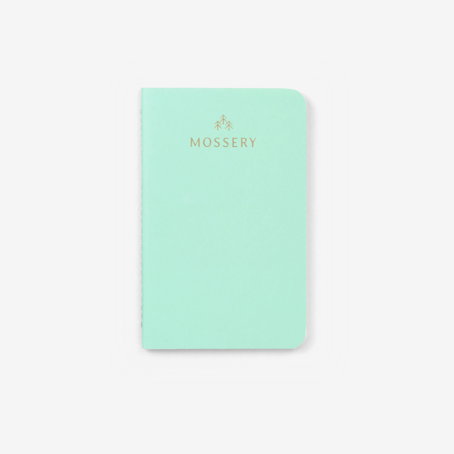 Second Chance: Mint Green Pocket Notebook