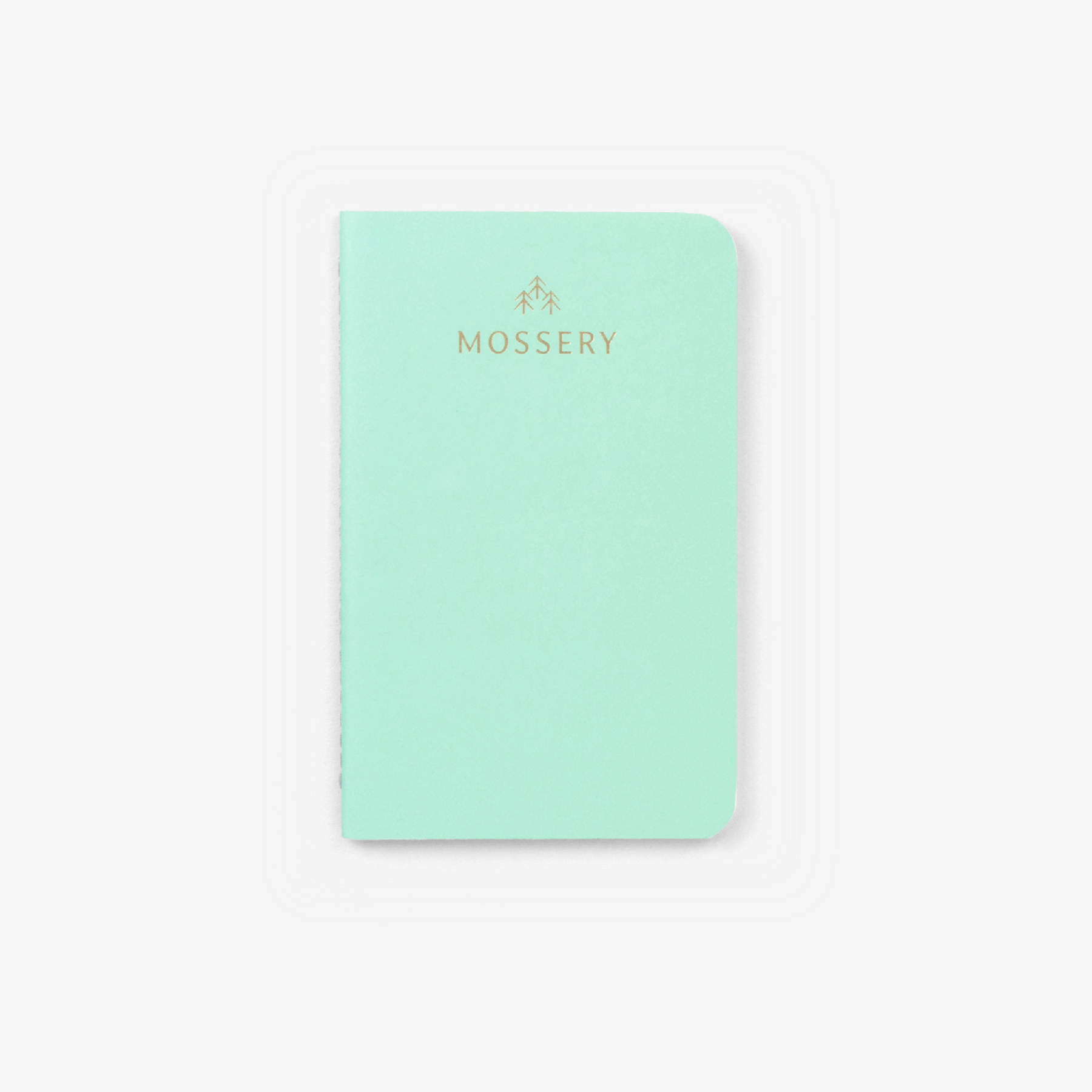 Second Chance: Mint Green Pocket Notebook