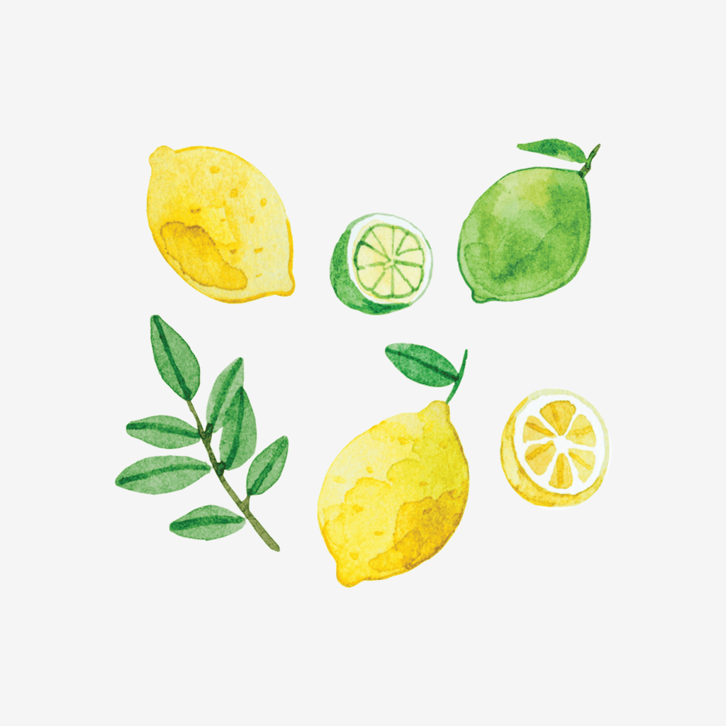 Artist Series Stickers: Lemons & Limes (STC-508)