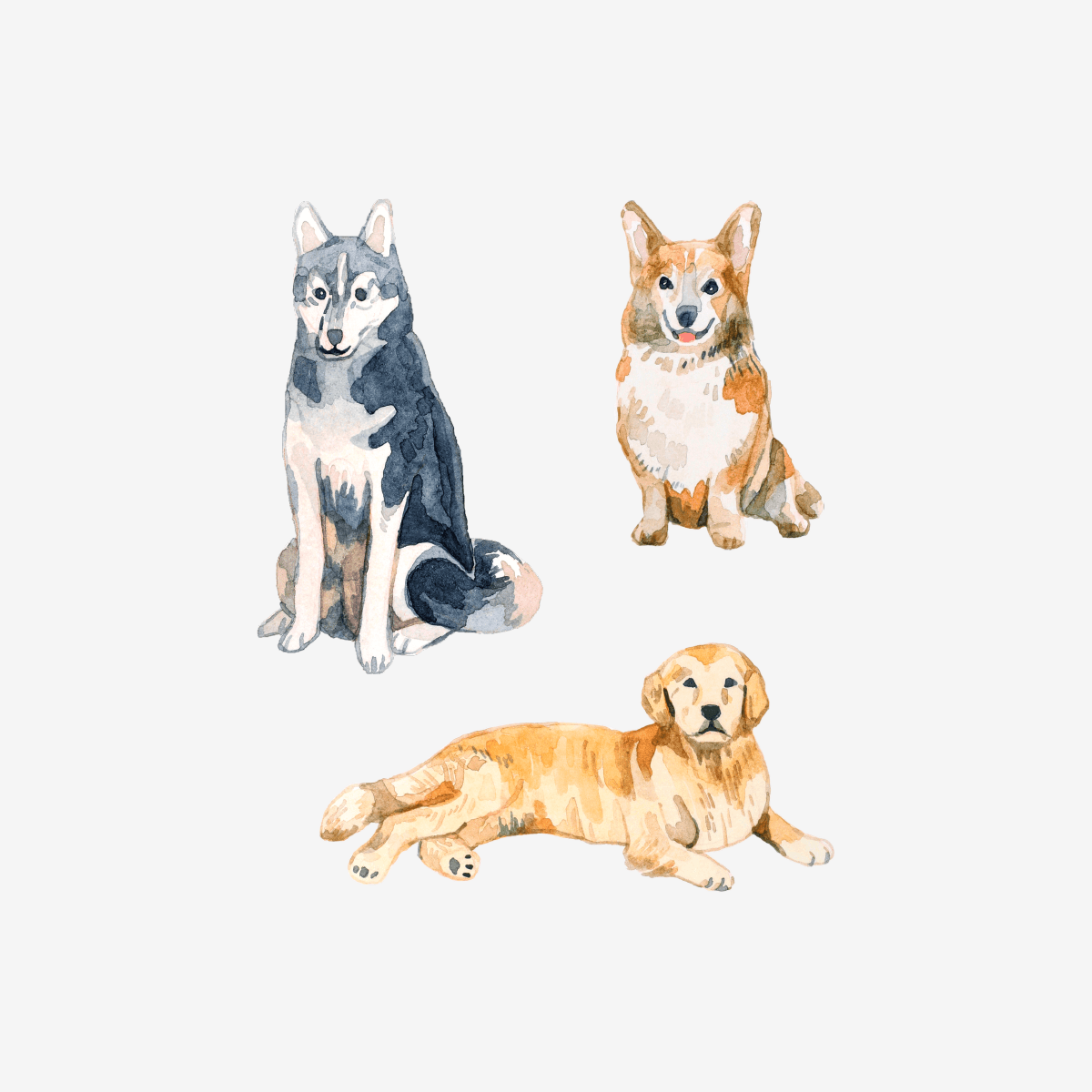 Artist Series Stickers: Dogs (STC-513)